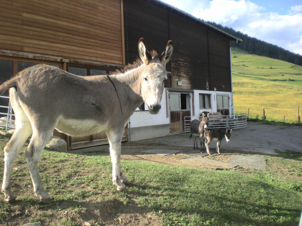 Chasa Werro Daire Sent Dış mekan fotoğraf